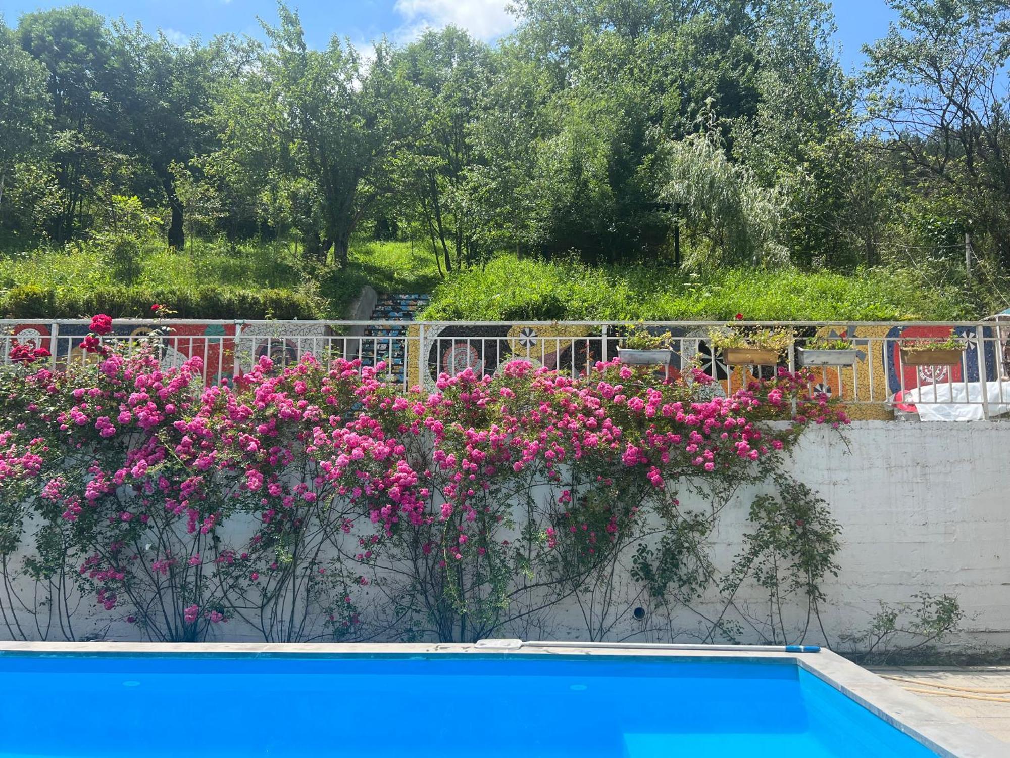 Dilijan Duplex Villa Exteriör bild