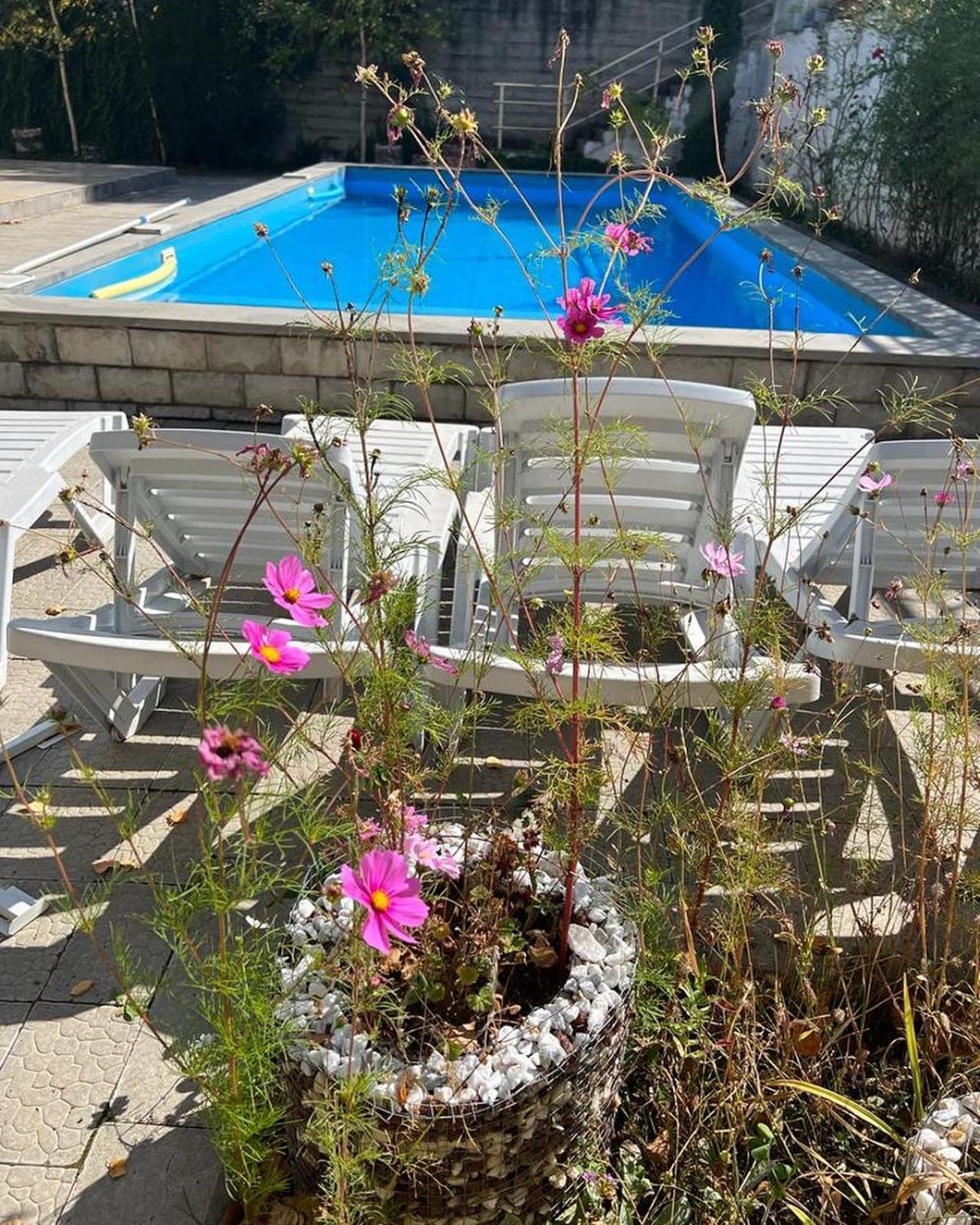 Dilijan Duplex Villa Exteriör bild