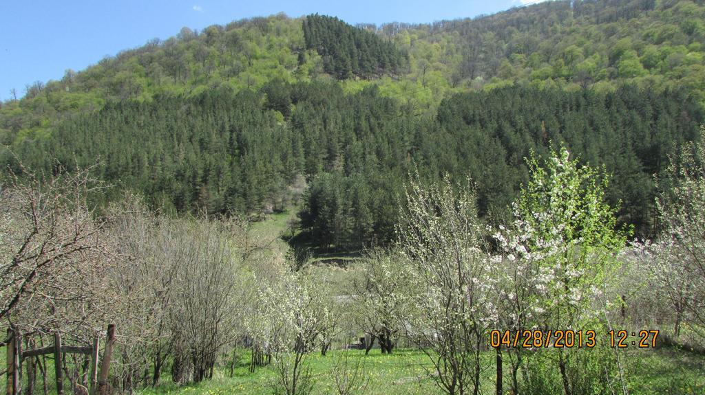 Dilijan Duplex Villa Exteriör bild