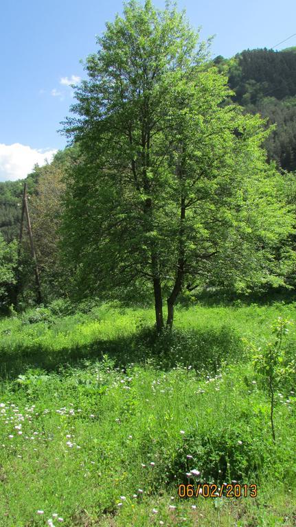 Dilijan Duplex Villa Exteriör bild